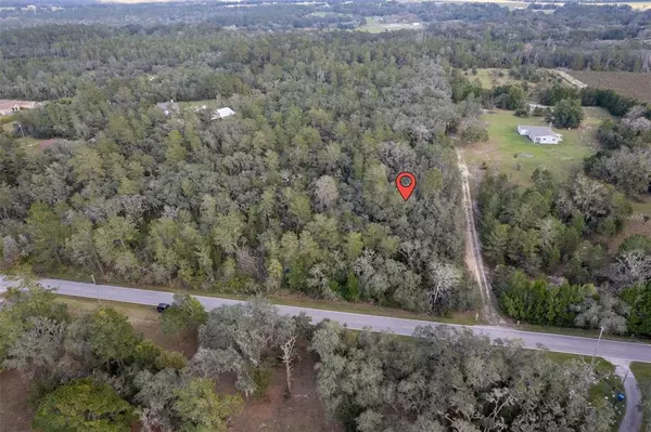 BATTEN RD, Brooksville, FL 34602