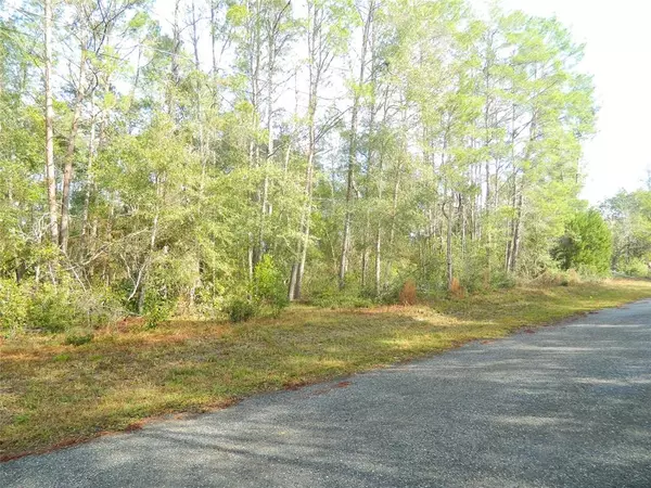 SITTING BULL ST,  Brooksville,  FL 34601