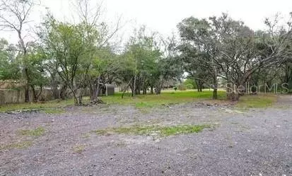 Hudson, FL 34669,13141 GRASSY LN