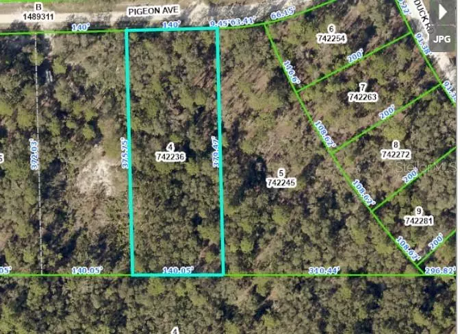 11172 PIGEON AVE, Weeki Wachee, FL 34614