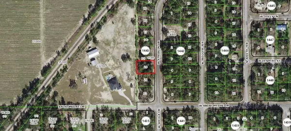 Citrus Springs, FL 34433,2969 W STRIBLIN DR