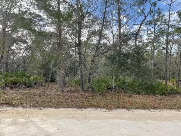 Weeki Wachee, FL 34613,Lot 16 MILLERDALE RD