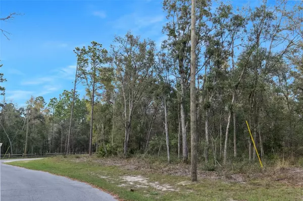 Weeki Wachee, FL 34614,0 HIDDEN DEER TRL