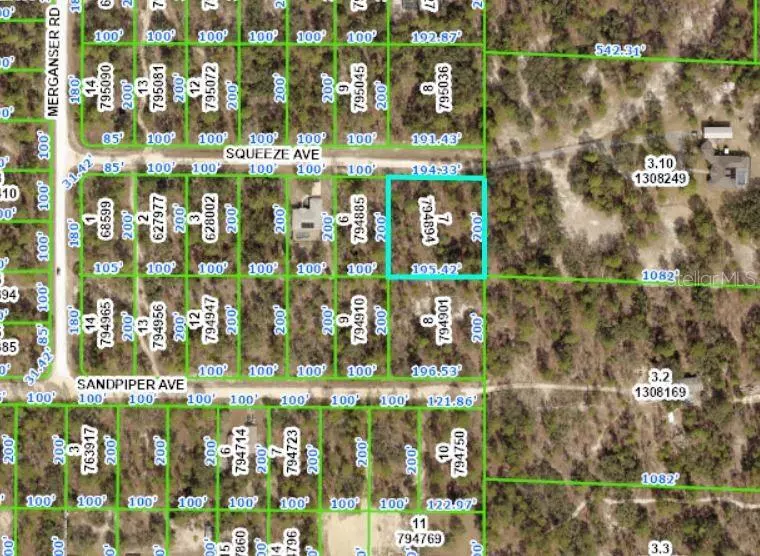 Weeki Wachee, FL 34614,12114 SQUEEZE AVE