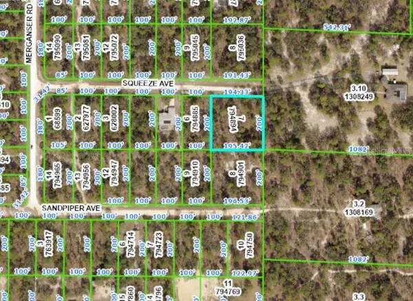 12114 SQUEEZE AVE, Weeki Wachee, FL 34614