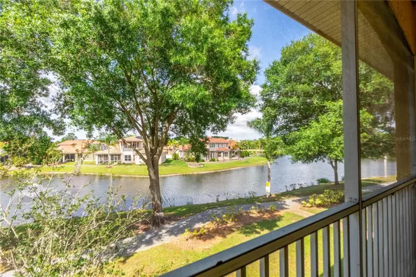 Land O Lakes, FL 34637,6816 DALI AVE #201