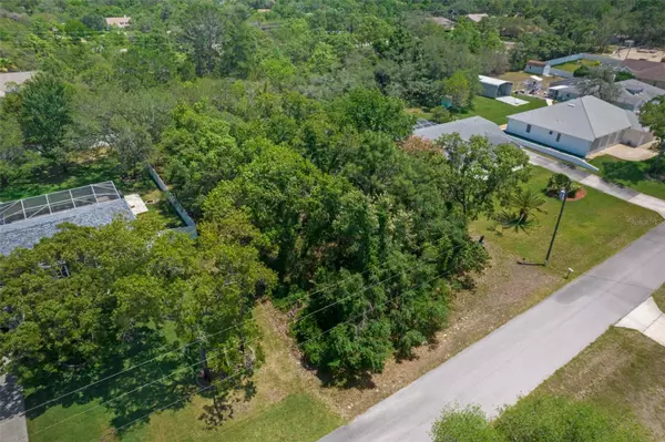 Weeki Wachee, FL 34613,0 NUZUM RD