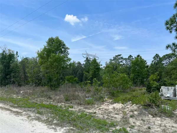 Weeki Wachee, FL 34614,Lot 6 COURLAN RD