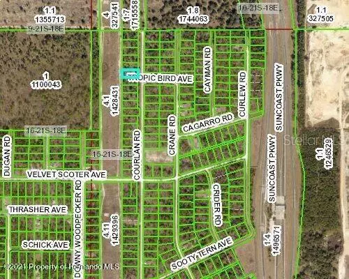 Weeki Wachee, FL 34614,Lot 6 COURLAN RD