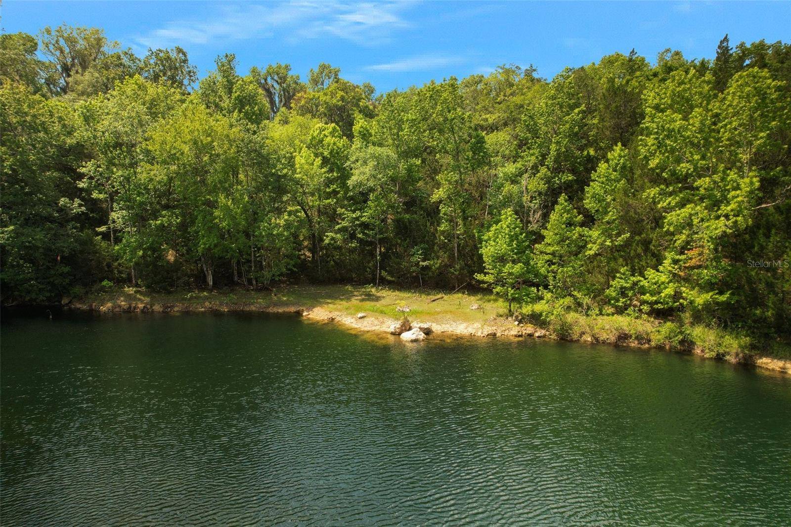 Floral City, FL 34436,9986 E NEW HOPE CT
