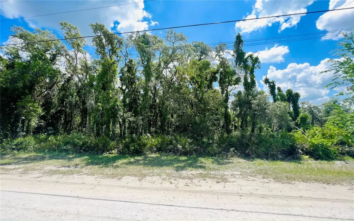 Webster, FL 33597,Lot 8 CORNERSTONE DR