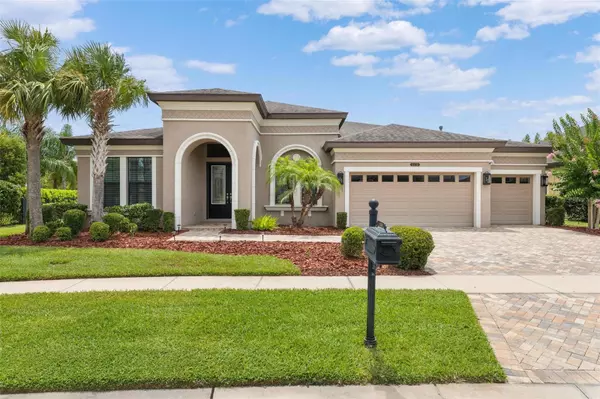 Land O Lakes, FL 34637,8450 SWISS CHARD CIR