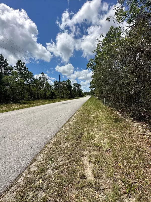 Homosassa, FL 34446,49 LONE PINE ST