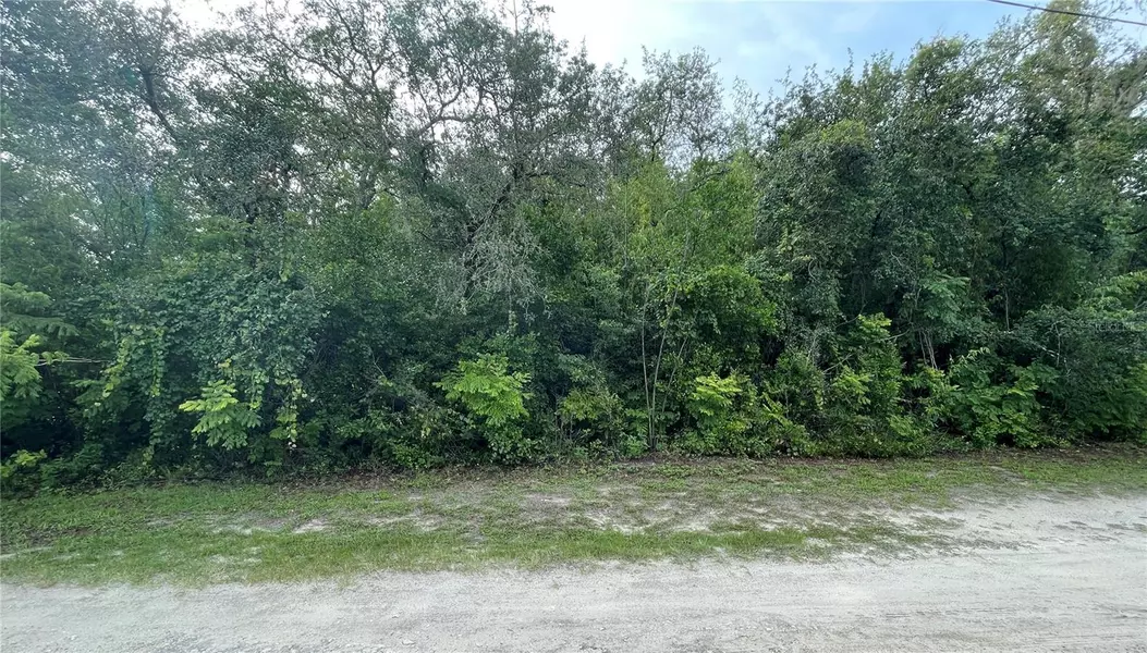 New Port Richey, FL 34654