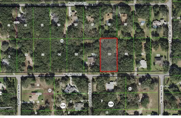 Hernando, FL 34442,157 W PEARSON ST