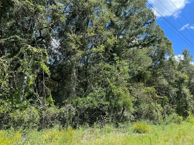NW US 19 HWY, Chiefland, FL 32626