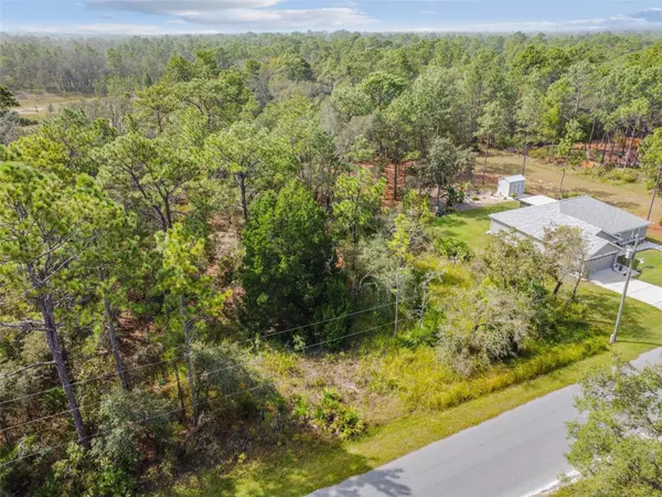 Weeki Wachee, FL 34614,LOT 2 WOOD OWL AVE