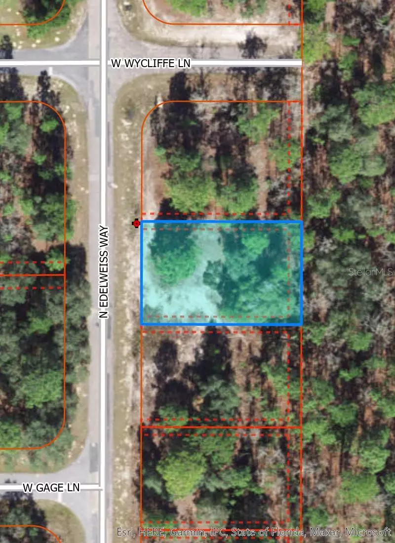 Citrus Springs, FL 34434,6567 N EDELWEISS WAY