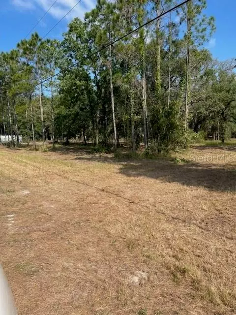 Spring Hill, FL 34608,9495 MAY GOLD LN