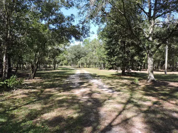 Wesley Chapel, FL 33545,34920 WRIGHT LN