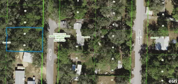 New Port Richey, FL 34654,0 OANA