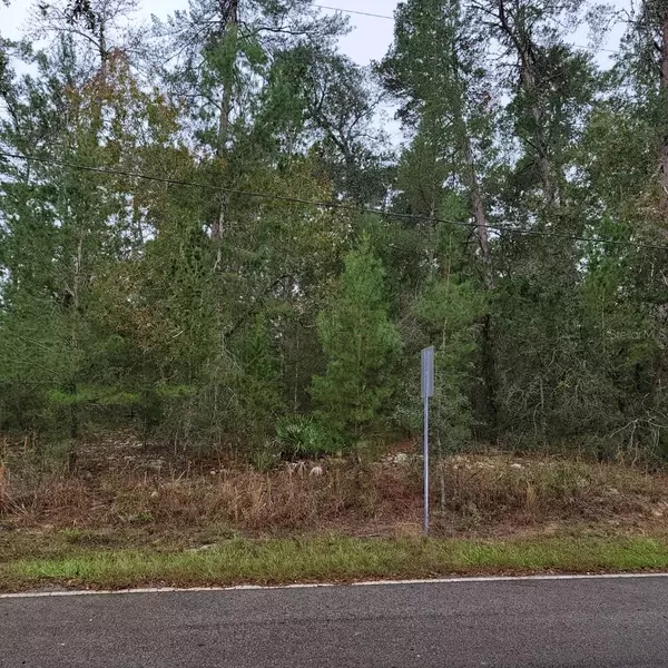 Homosassa, FL 34446,1 LOBELIA CT