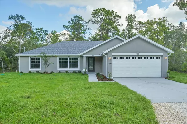 11103 MILLERDALE RD, Weeki Wachee, FL 34614