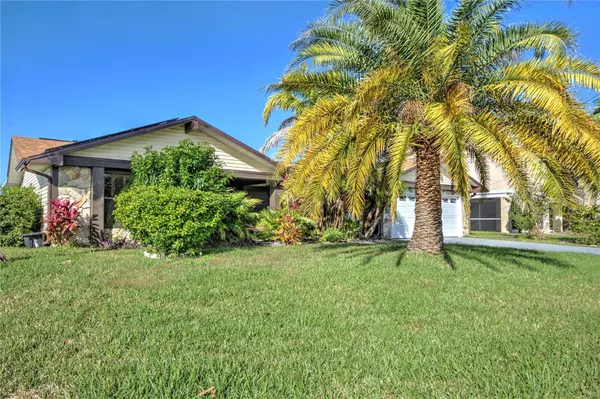 Hernando Beach, FL 34607,4175 CAMELIA DR