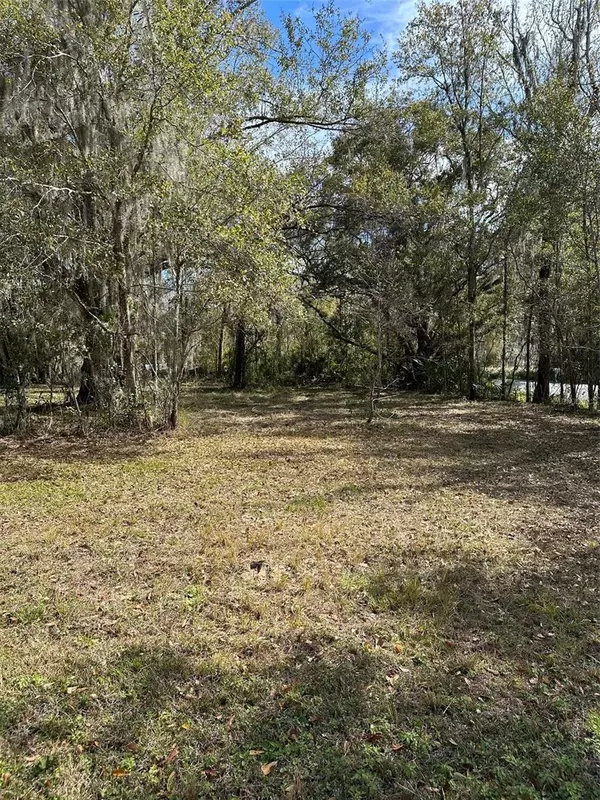 Brooksville, FL 34601,0 YONTZ RD