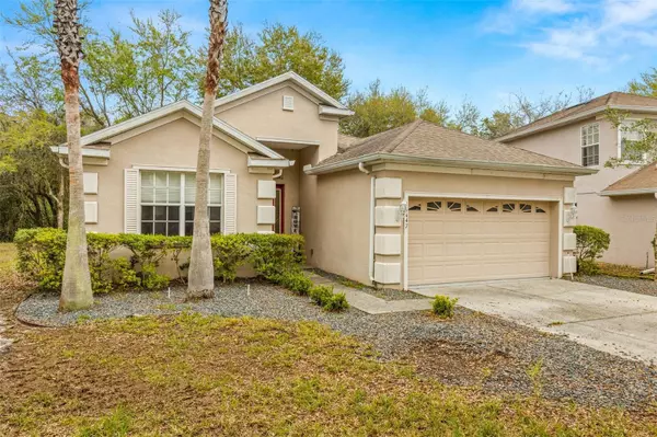 Land O Lakes, FL 34638,15447 PEPPER PINE CT