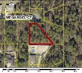 Weeki Wachee, FL 34614,11336 MEGARGEL CT