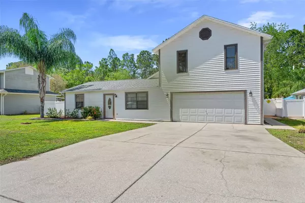 Spring Hill, FL 34608,3211 GREYNOLDS AVE