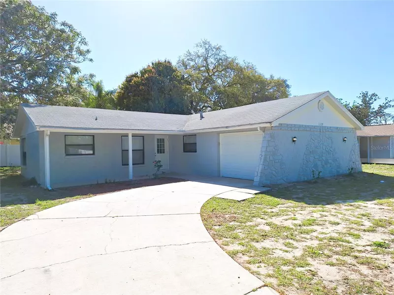 1139 ELMENDORF TRCE, Tarpon Springs, FL 34689