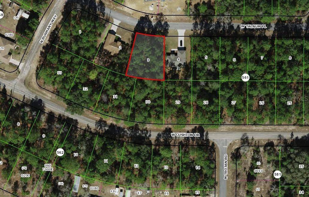 3386 W TALINUM PL, Citrus Springs, FL 34433