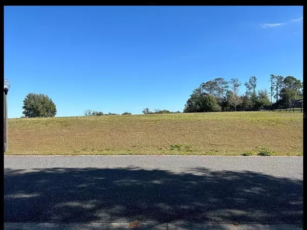 Weirsdale, FL 32195,41518 SADDLE RIDGE LN