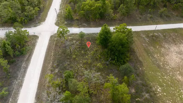 Weeki Wachee, FL 34614,COURLAN RD