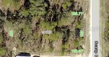 16031 SCAUP DUCK AVE, Weeki Wachee, FL 34614