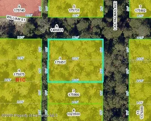 LAS PALMAS AVE, Spring Hill, FL 34606