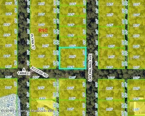 Spring Hill, FL 34606,LAS PALMAS AVE