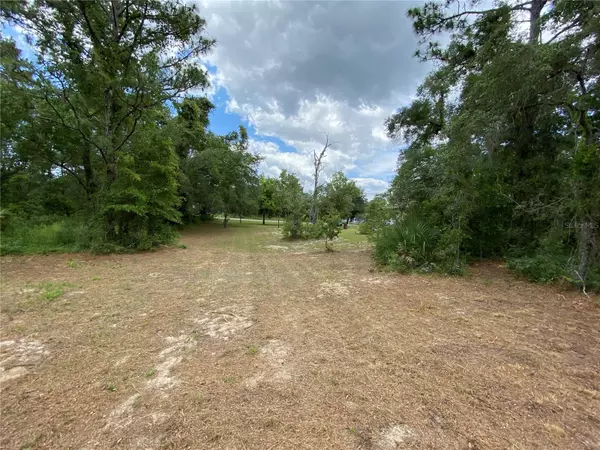 Weeki Wachee, FL 34614,12378 PIPING PLOVER AVE