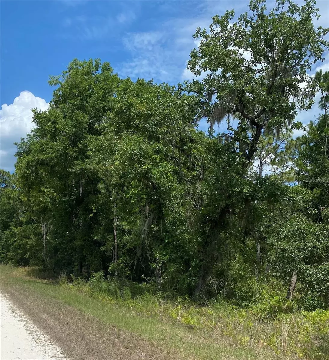 Weeki Wachee, FL 34614,SOOTY TERN LOT 3 AVE