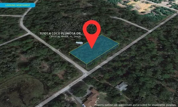 Crystal River, FL 34428,10101 N COCO PLUMOSA DR