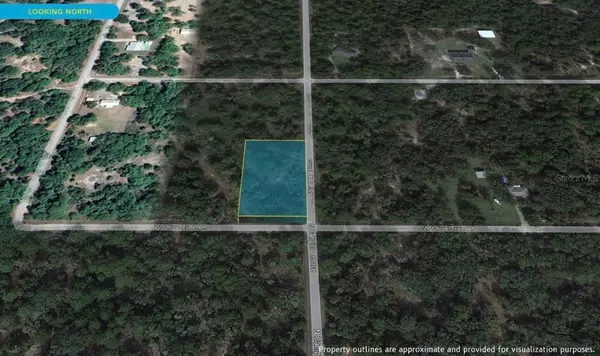 Crystal River, FL 34428,12075 W OLIVE TREE LN