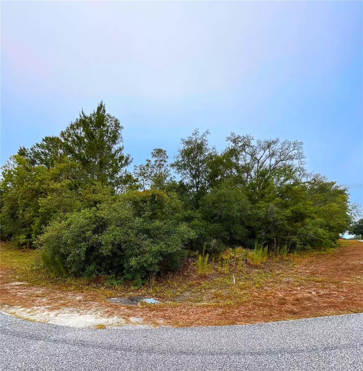 Weeki Wachee, FL 34613,8453 CHRISTOPHER LN