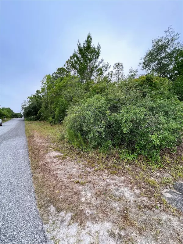 Weeki Wachee, FL 34613,8453 CHRISTOPHER LN