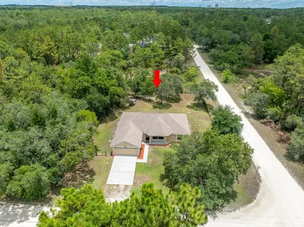 Weeki Wachee, FL 34614,14306 ERMINE OWL RD