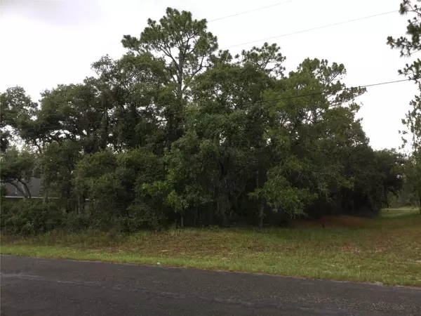Dunnellon, FL 34433,7265 N WESTBROOK WAY