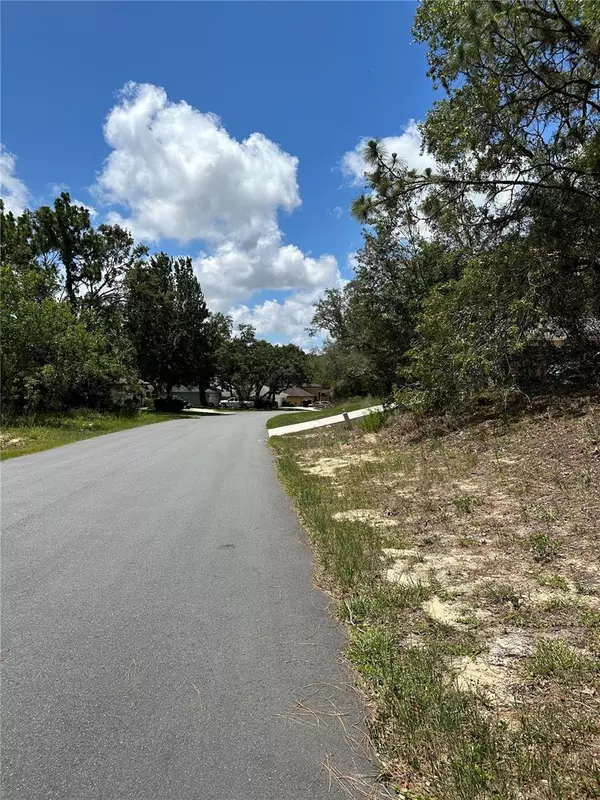 Homosassa, FL 34446,28 WAXMYRTLE CT