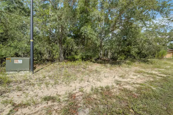 Homosassa, FL 34446,9 CANDYTUFT CT