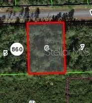 Citrus Springs, FL 34433,4324 W FINDLAY ST